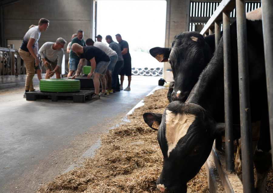 Farm Games Beveren-Waas