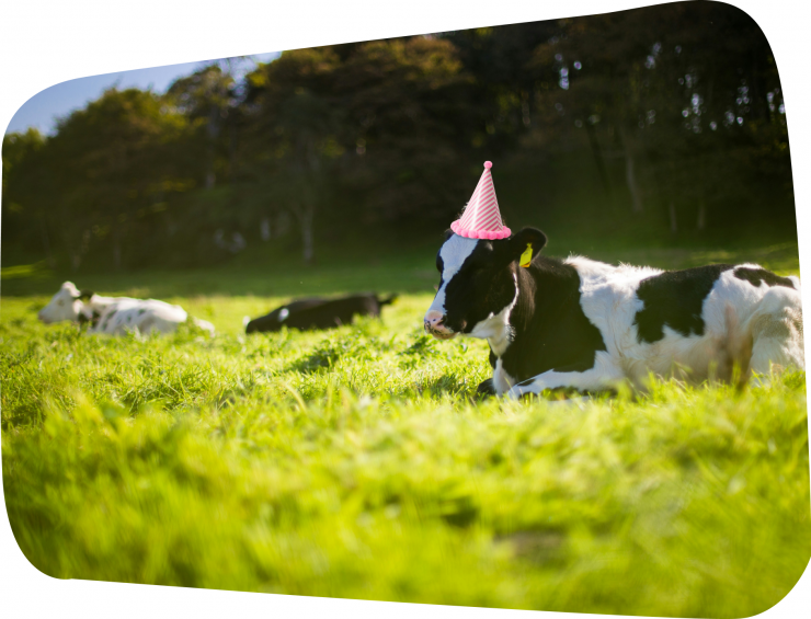 10 jarig bestaan FarmFun